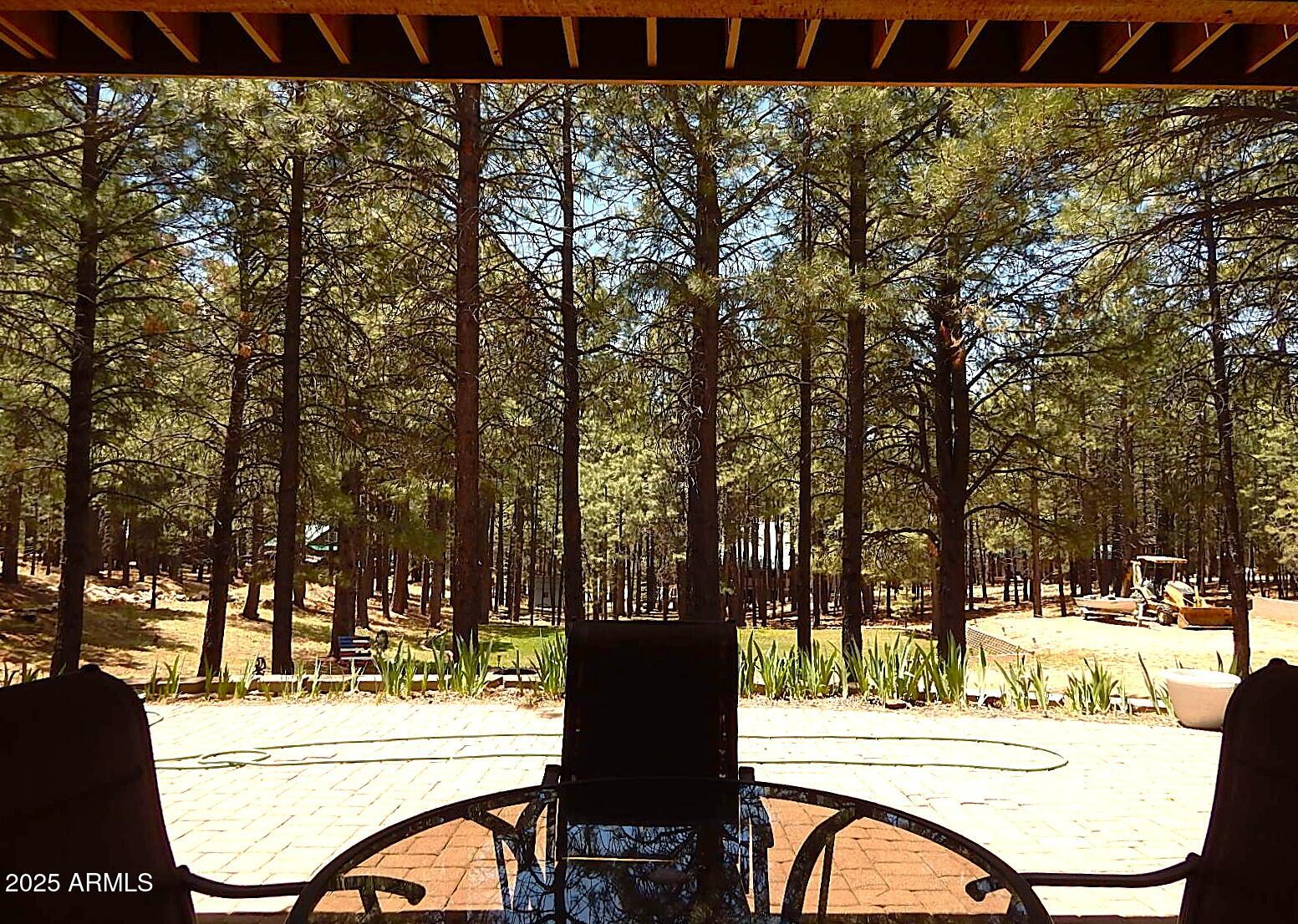 Forest Lakes, Arizona, 85931, United States, 4 Bedrooms Bedrooms, ,4 BathroomsBathrooms,Residential,Active,1771475