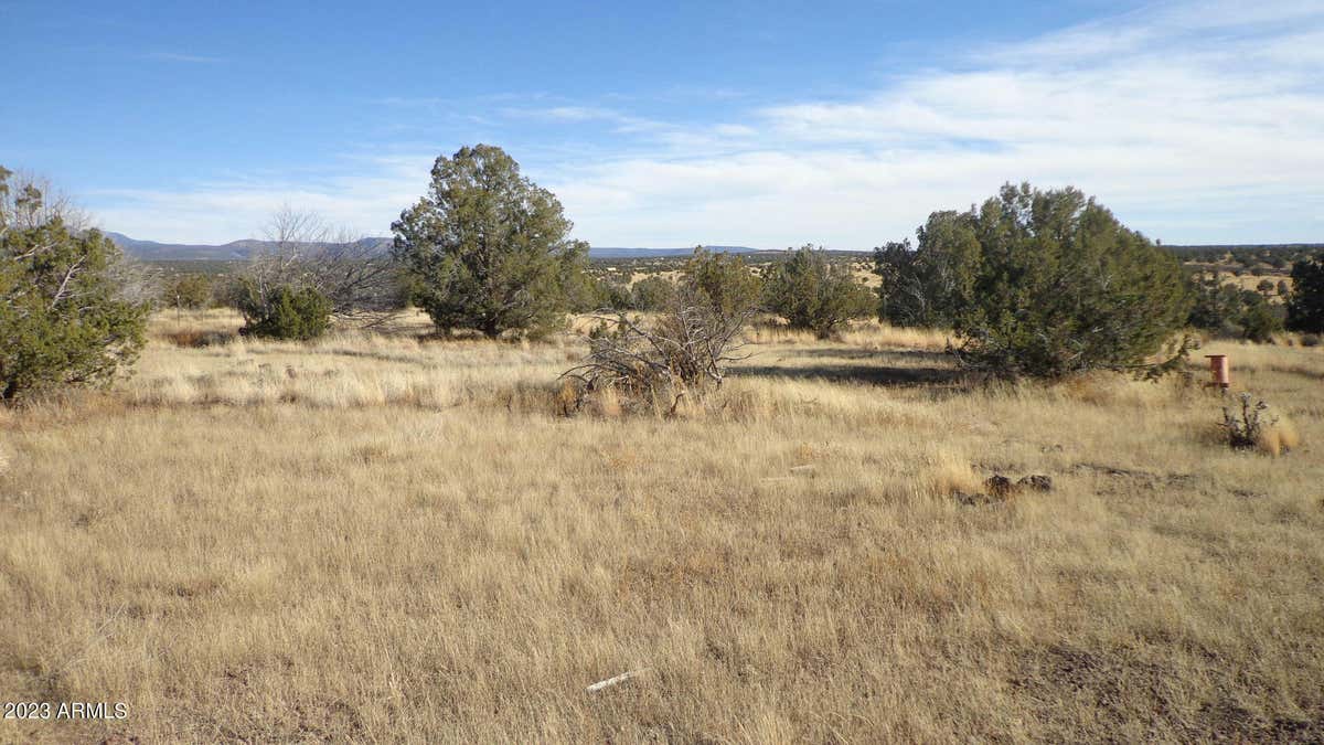 00 N TRACKSIDE TRAIL LANE # 211, ASH FORK, AZ 86320, photo 1 of 11