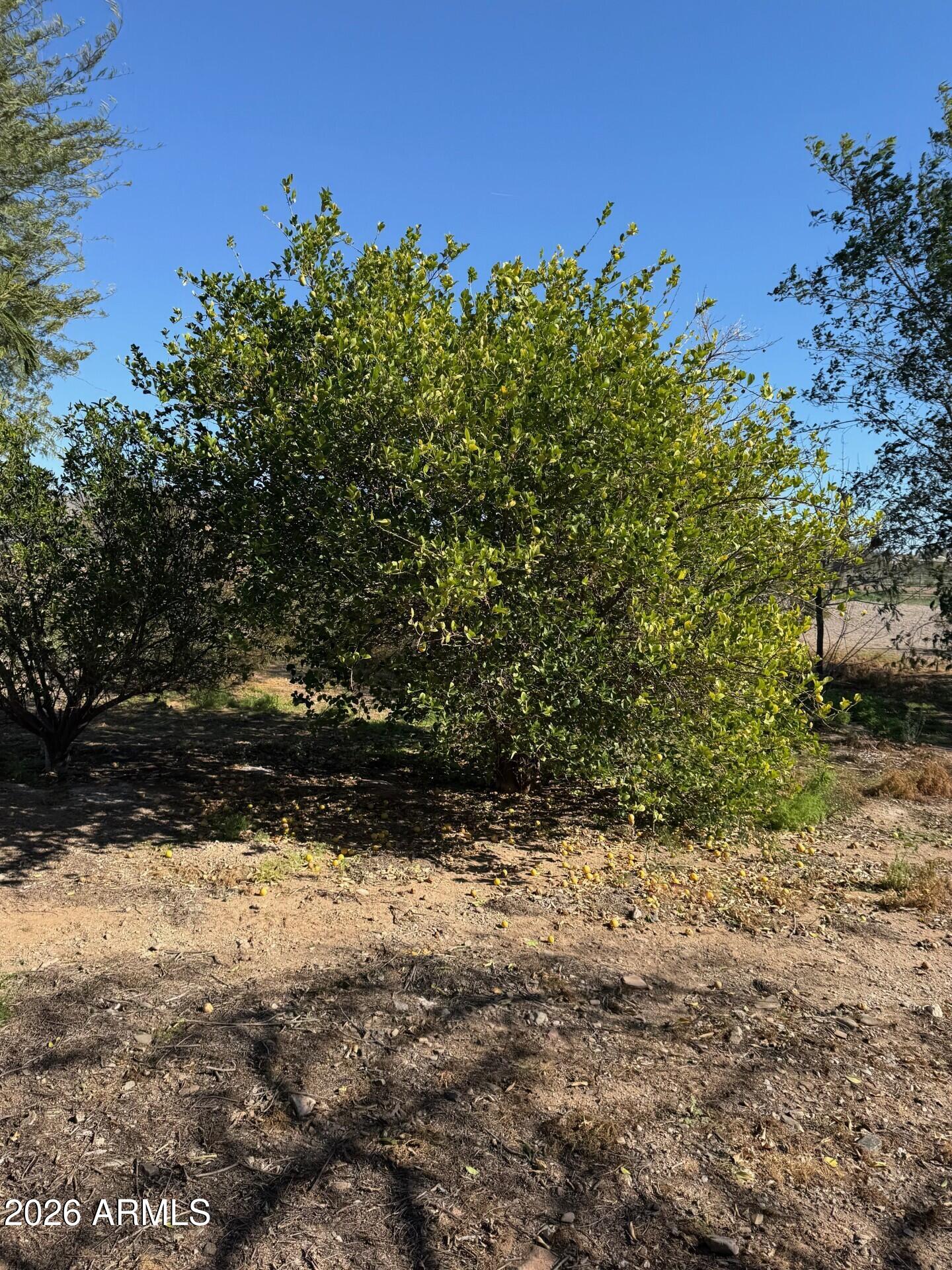 Surprise, Arizona, 85387, United States, 3 Bedrooms Bedrooms, ,2 BathroomsBathrooms,Residential,Active,2009173