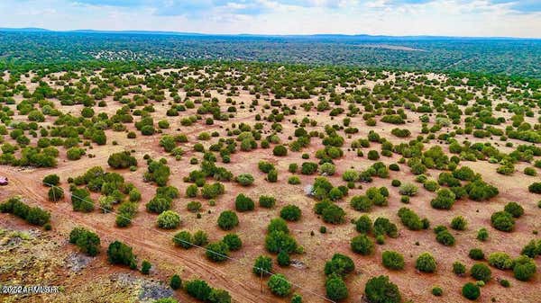 0 SILVER LAKE BLVD 248.5 ACRES, SHOW LOW, AZ 85901 - Image 1