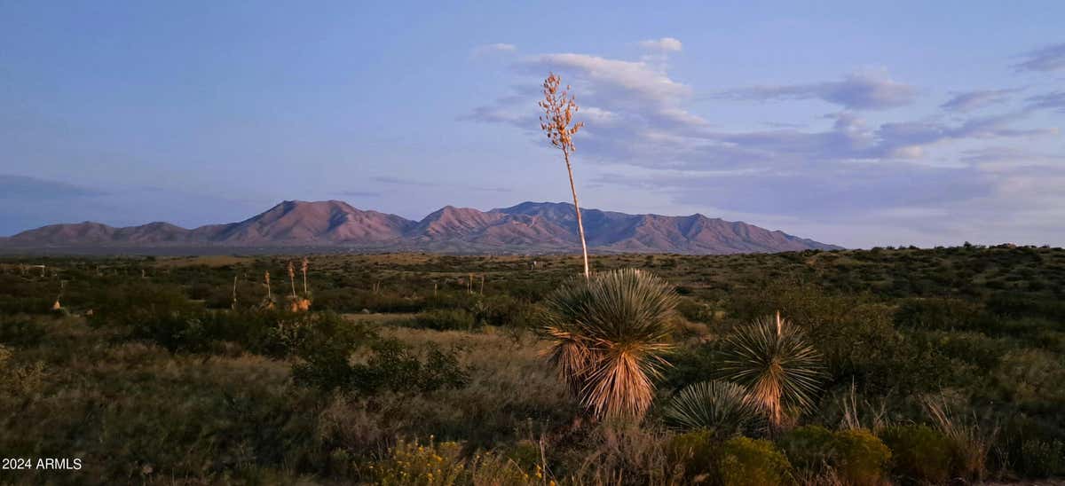 TBD E ADAMS RANCH ROAD # 003, DRAGOON, AZ 85609, photo 1 of 24