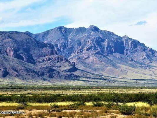 THREE TRIANGLES RANCH 41 ACRES # 37, PORTAL, AZ 85632, photo 2 of 14