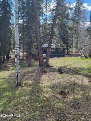 6 COUNTY ROAD 1007, GREER, AZ 85927 - Image 1