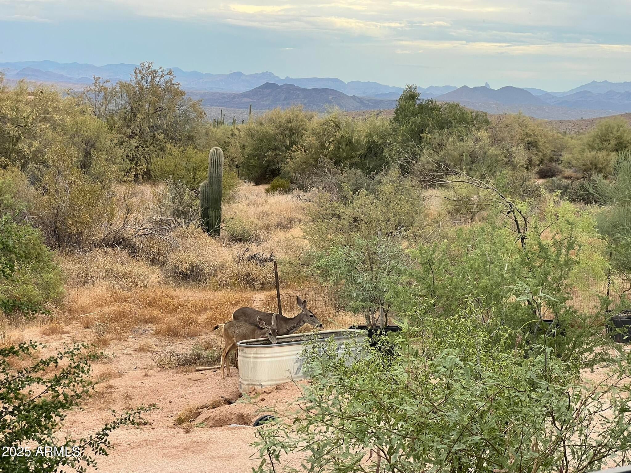 Scottsdale, Arizona, 85262, United States, 2 Bedrooms Bedrooms, ,2 BathroomsBathrooms,Residential,Active,2006982