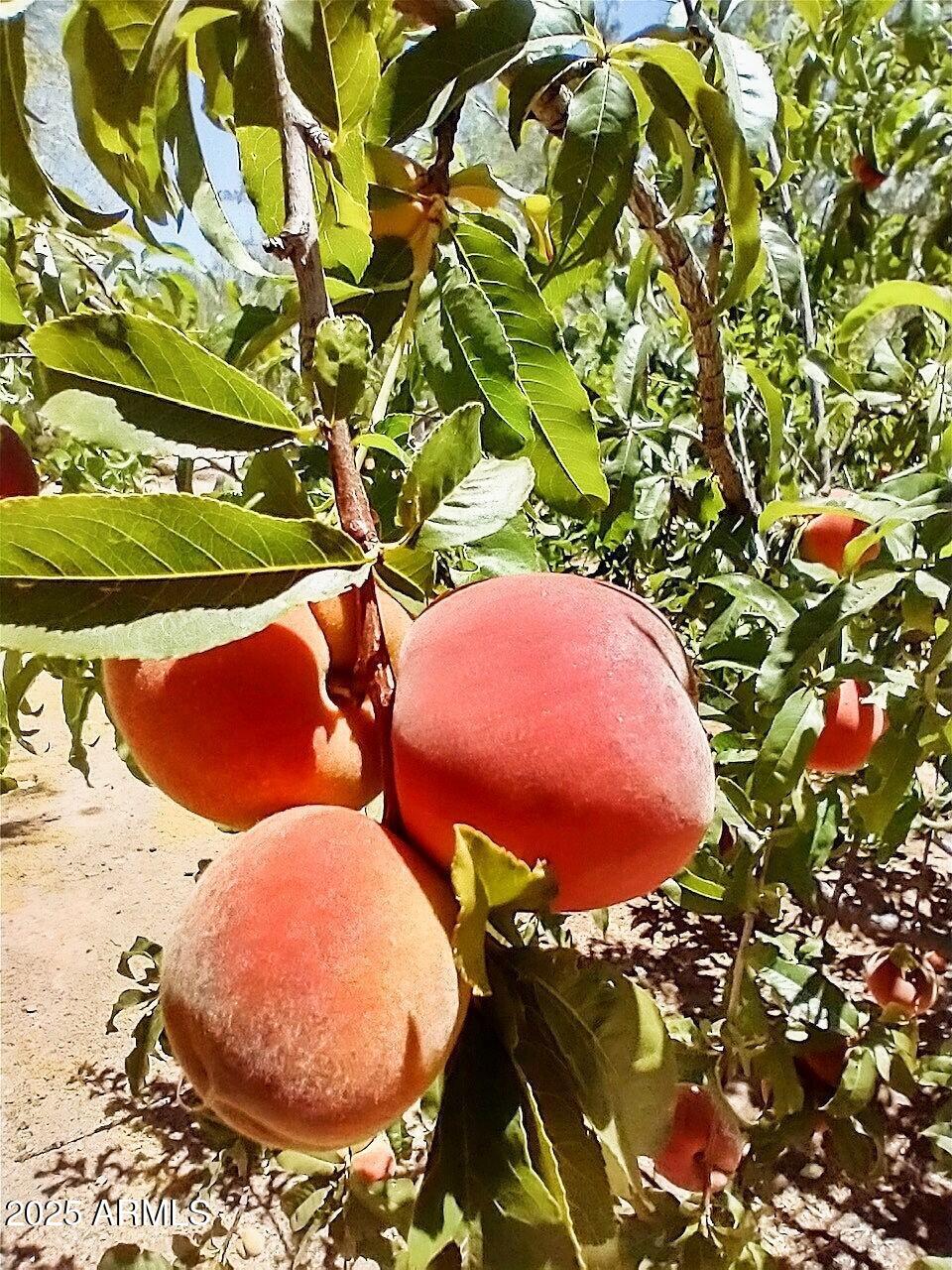 Scottsdale, Arizona, 85262, United States, 4 Bedrooms Bedrooms, ,2 BathroomsBathrooms,Residential,Active,1964487