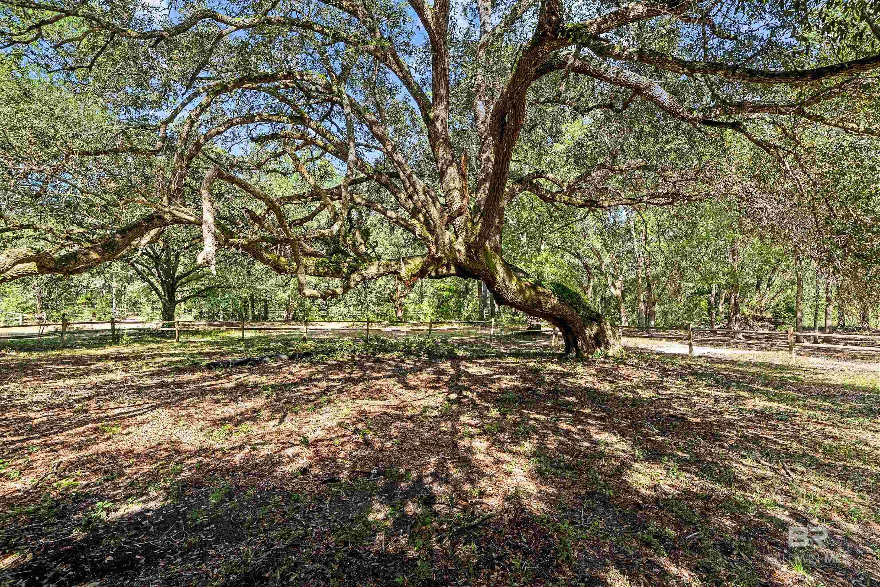 Foley, Alabama, 36535, United States, 3 Bedrooms Bedrooms, ,3 BathroomsBathrooms,Residential,Active,1985879