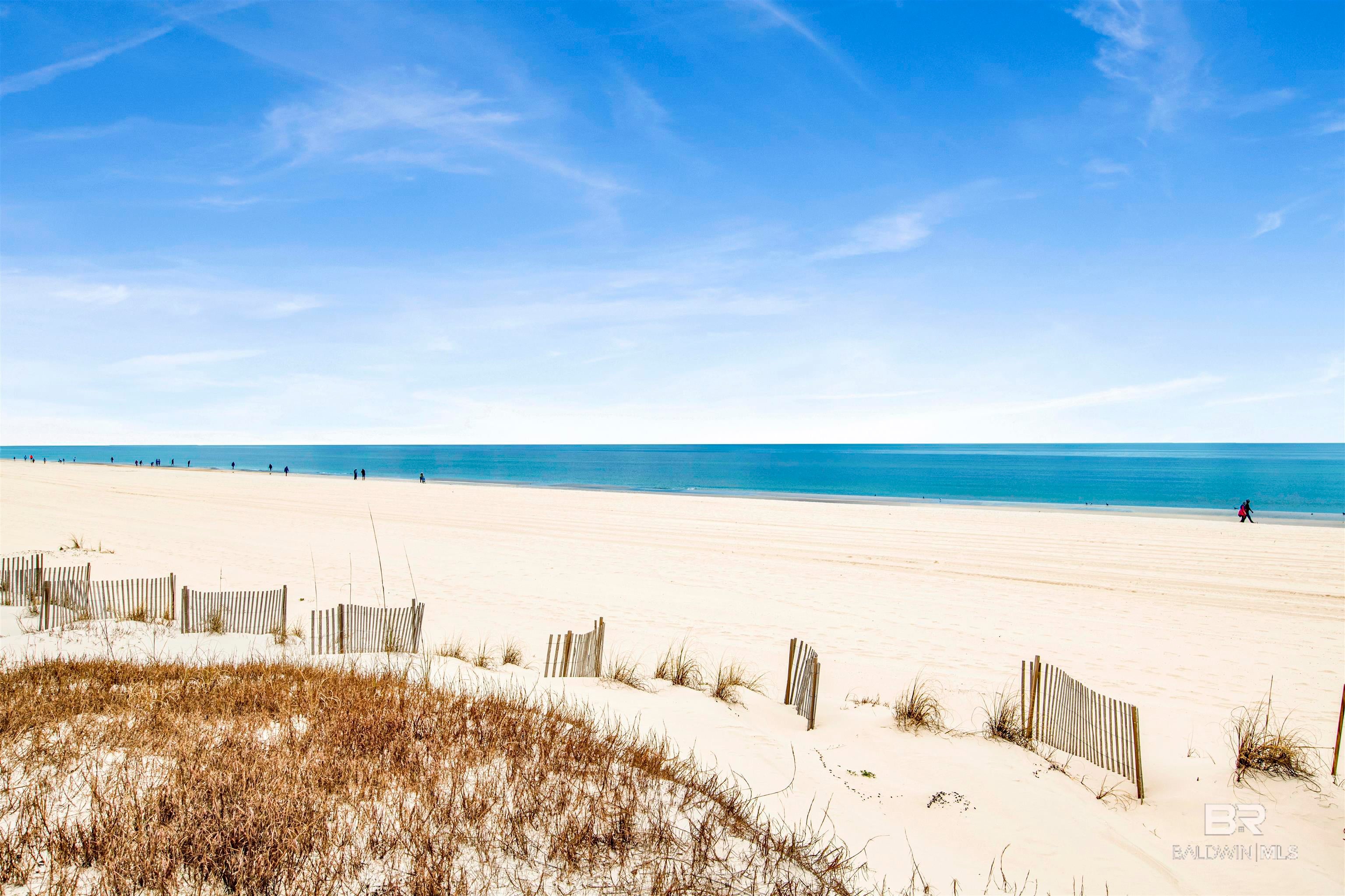 Orange Beach, Alabama, 36561, United States, 10 Bedrooms Bedrooms, ,10 BathroomsBathrooms,Residential,Active,1773253