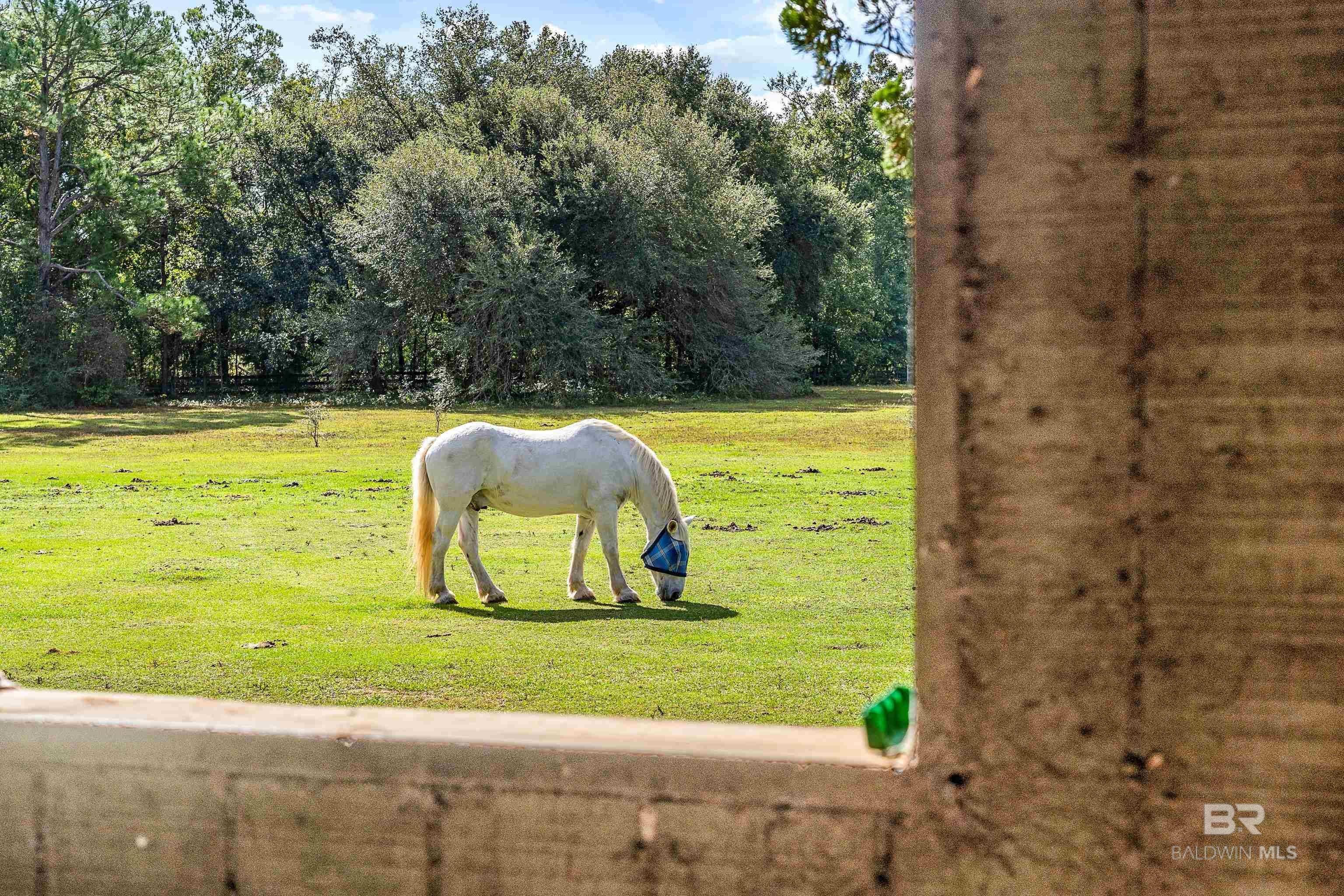 Foley, Alabama, 36535, United States, 3 Bedrooms Bedrooms, ,3 BathroomsBathrooms,Residential,Active,1985879