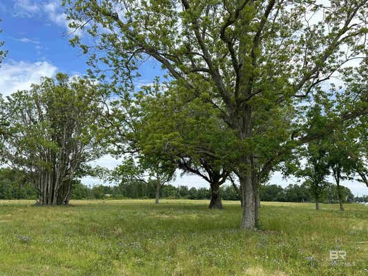 19127 HIGHWAY 59, SUMMERDALE, AL 36580, photo 2 of 20