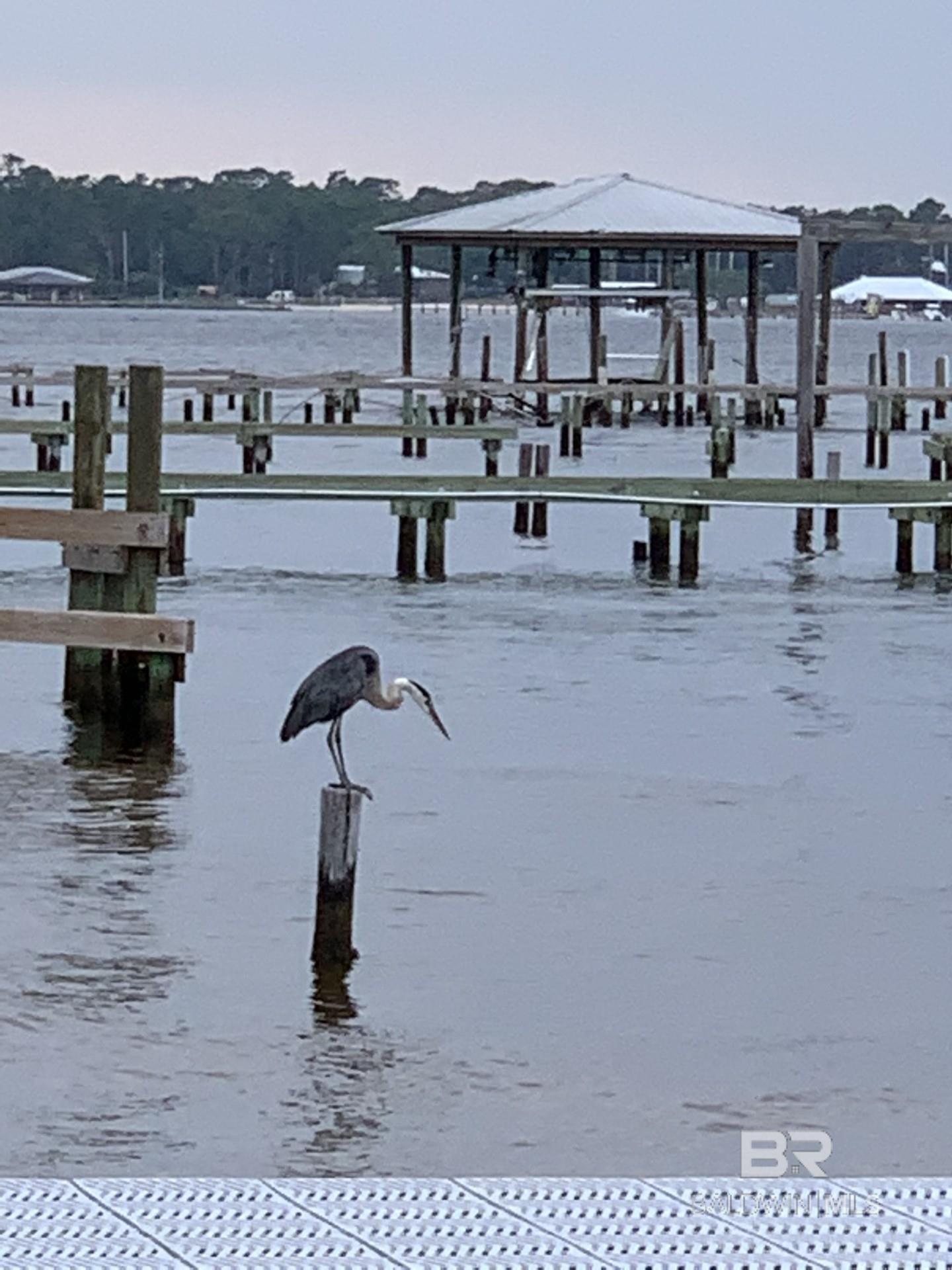 Orange Beach, Alabama, 36561, United States, 4 Bedrooms Bedrooms, ,6 BathroomsBathrooms,Residential,Active,1968116