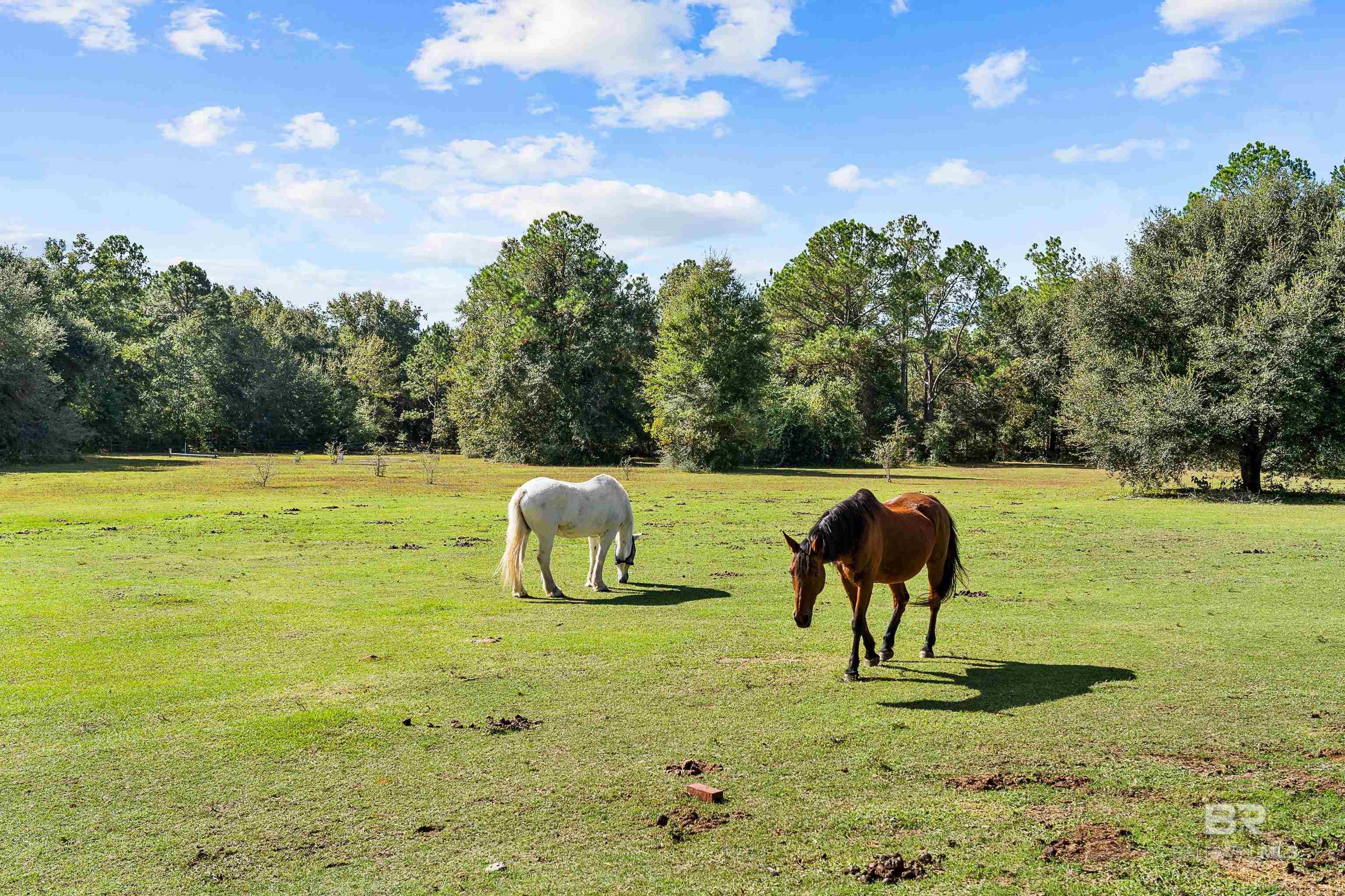 Foley, Alabama, 36535, United States, 3 Bedrooms Bedrooms, ,3 BathroomsBathrooms,Residential,Active,1985879