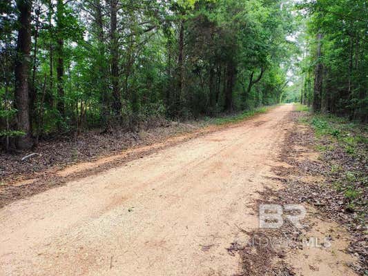 0000000 COUNTY ROAD 69, COFFEEVILLE, AL 36524 - Image 1