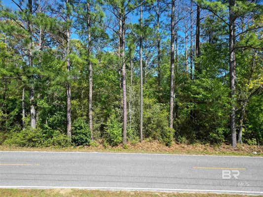 00 N PINE BARREN ROAD, MCDAVID, FL 32568 - Image 1