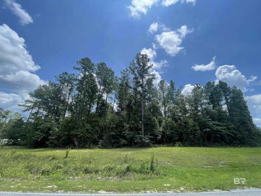 0 STYX RIVER ROAD, STAPLETON, AL 36578 - Image 1