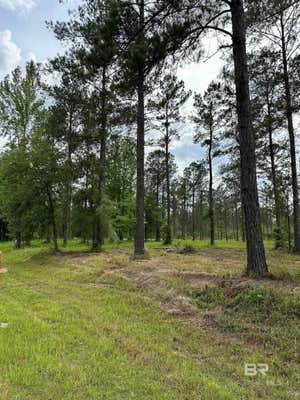 0 HOLLINGSWORTH ROAD, BAY MINETTE, AL 36507 - Image 1