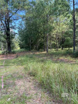 0 COUNTY ROAD 68 N, ROBERTSDALE, AL 36567 - Image 1