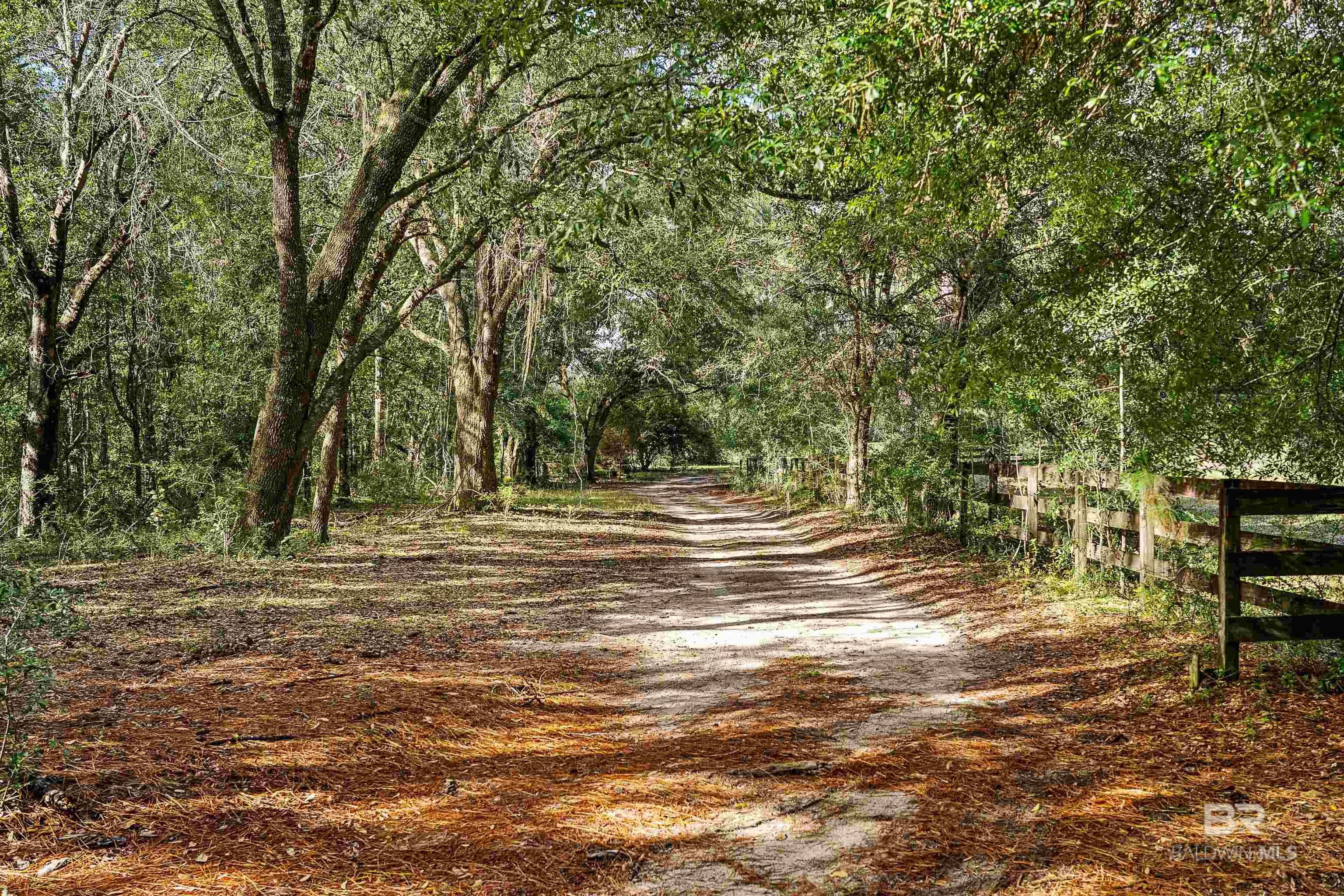 Foley, Alabama, 36535, United States, 3 Bedrooms Bedrooms, ,3 BathroomsBathrooms,Residential,Active,1985879