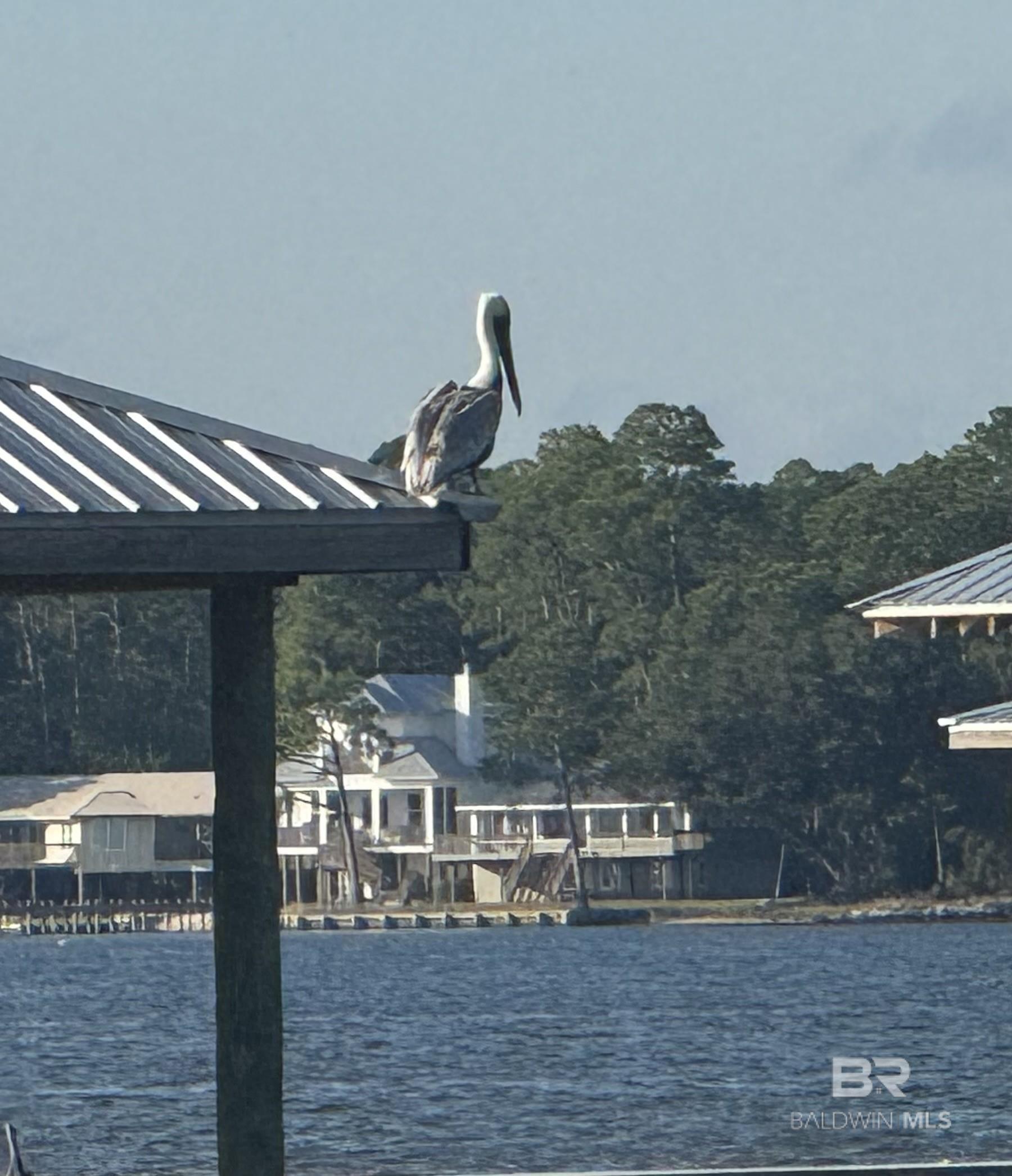 Orange Beach, Alabama, 36561, United States, 4 Bedrooms Bedrooms, ,6 BathroomsBathrooms,Residential,Active,1968116