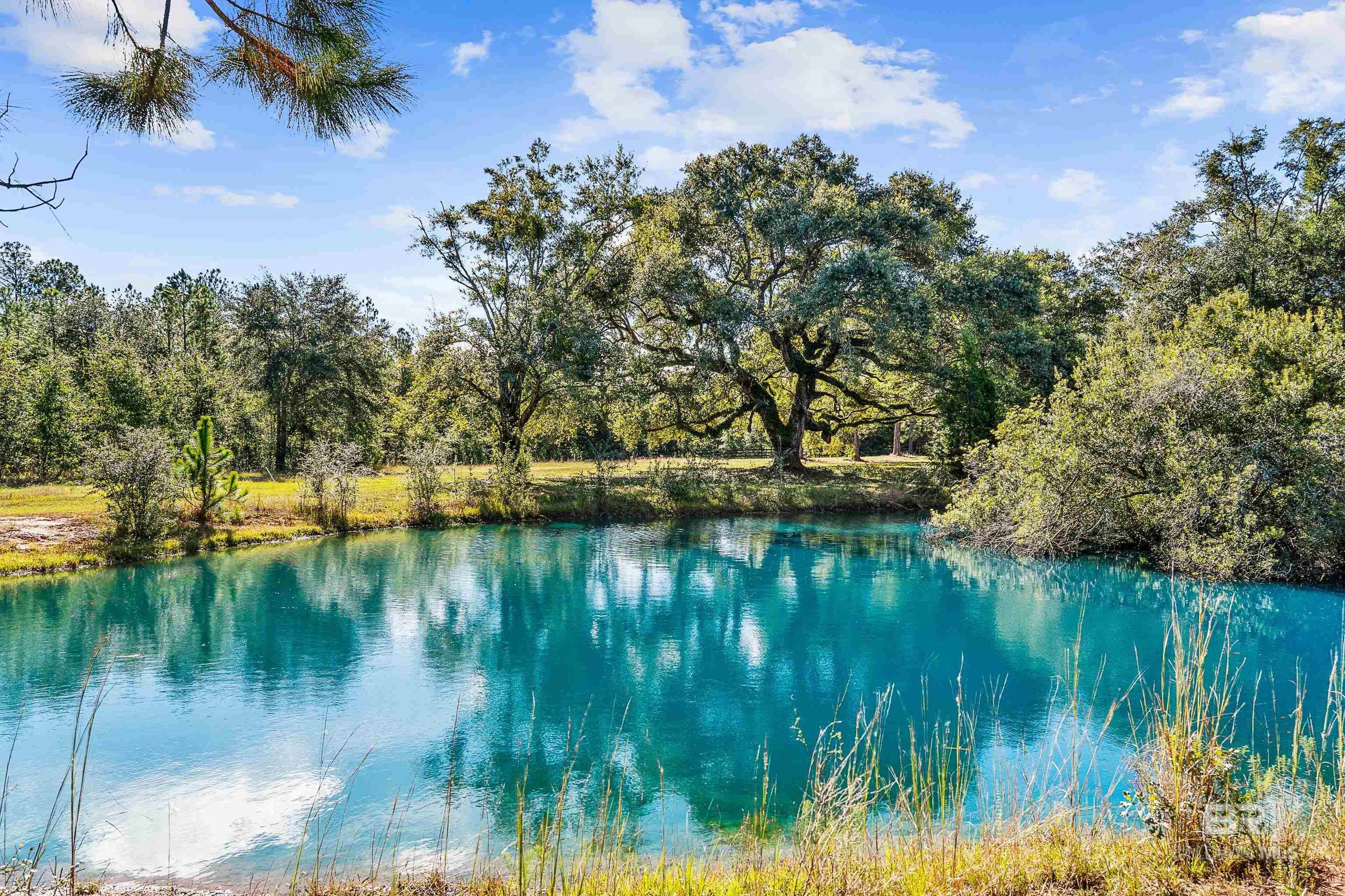 Foley, Alabama, 36535, United States, 3 Bedrooms Bedrooms, ,3 BathroomsBathrooms,Residential,Active,1985879