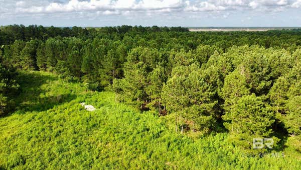 0 JAMES ROAD, FOLEY, AL 36535 - Image 1