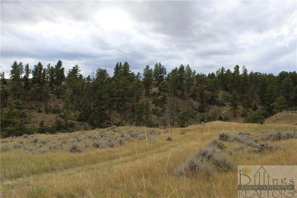 LOT 130 DRY CREEK RD, MOLT/RAPELJE, MT 59057, photo 3 of 12