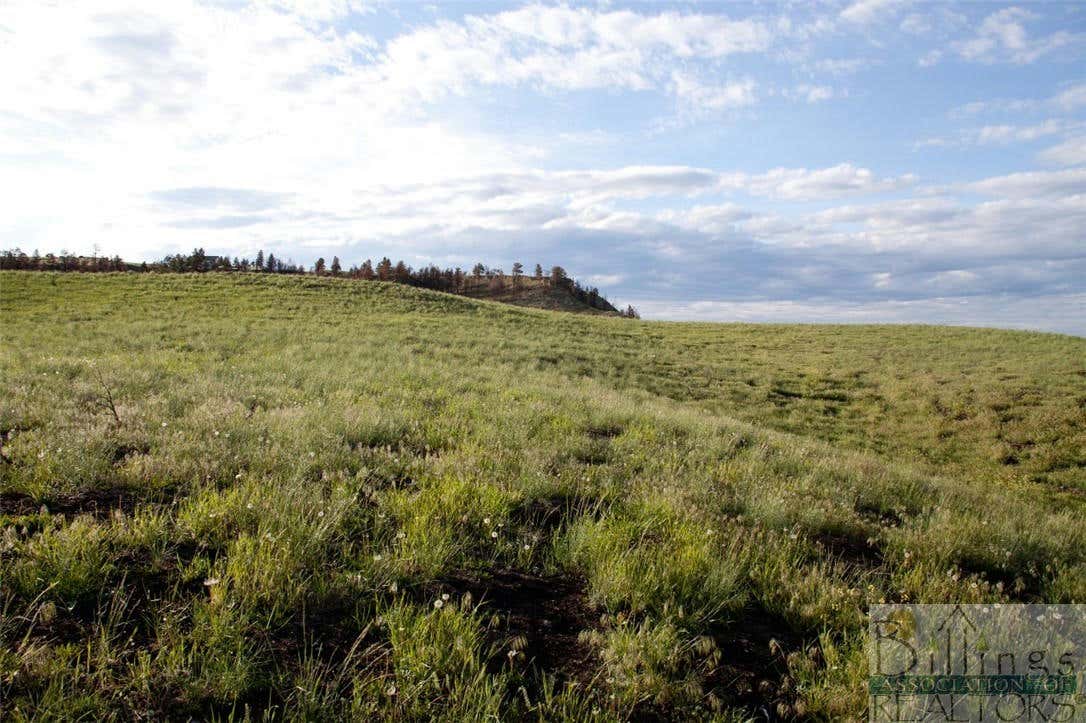 TRACT A PRYOR CREEK ROAD, HUNTLEY, MT 59037, photo 1 of 5