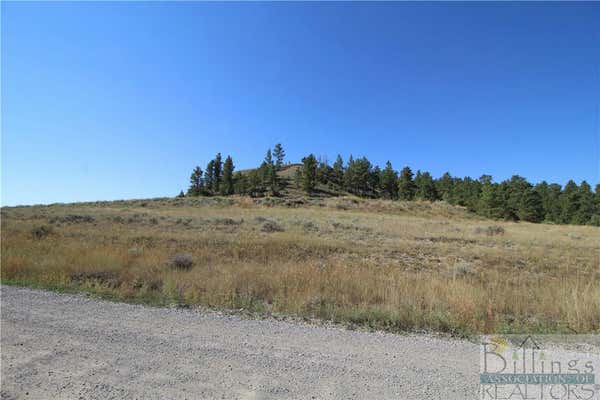 12715 MEDICINE MAN TRL, MOLT/RAPELJE, MT 59057, photo 3 of 35