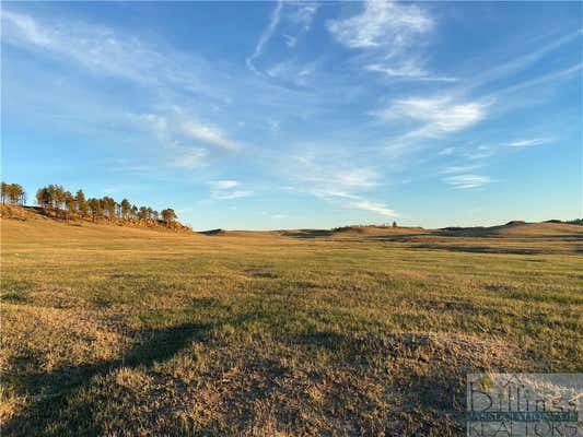 NHN LODGEPOLE ROAD, OTHER-SEE REMARKS, MT 59318 - Image 1