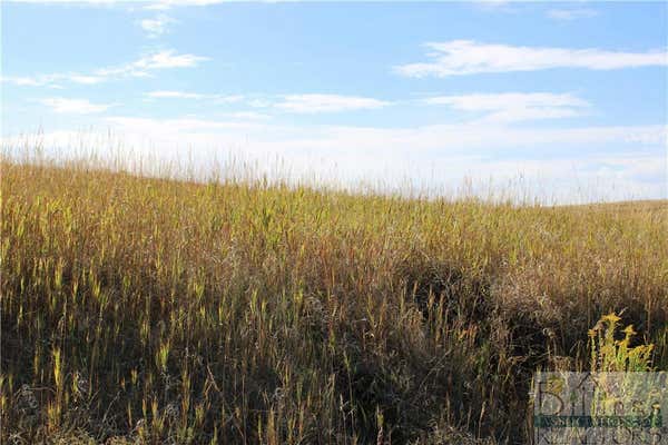 LOT 135 INTERNET ACCESS, ROBERTS, MT 59070, photo 4 of 11