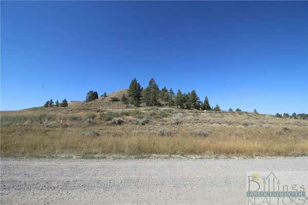 12715 MEDICINE MAN TRL, MOLT/RAPELJE, MT 59057, photo 2 of 35