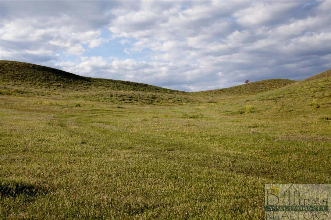 LOT 1 PRYOR CREEK ROAD, HUNTLEY, MT 59037, photo 1 of 5