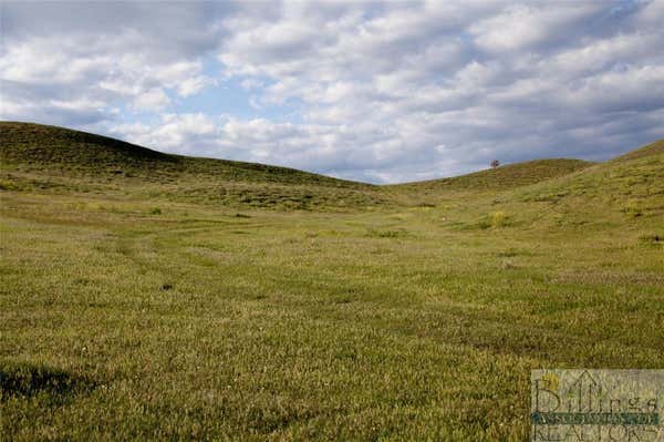 LOT 1 PRYOR CREEK ROAD, HUNTLEY, MT 59037 - Image 1