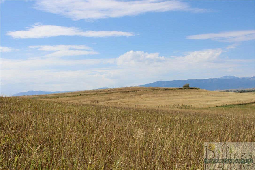 LOT 135 INTERNET ACCESS, ROBERTS, MT 59070, photo 1 of 11