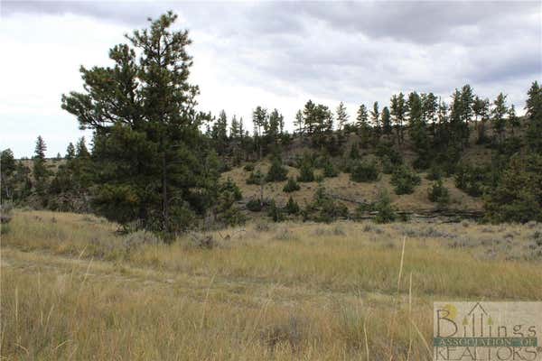 LOT 130 DRY CREEK RD, MOLT/RAPELJE, MT 59057, photo 4 of 12