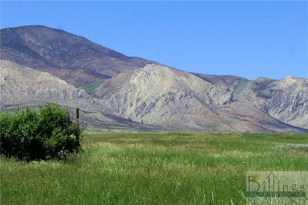 TBD STAGECOACH SPUR W, BELFRY, MT 59008 - Image 1