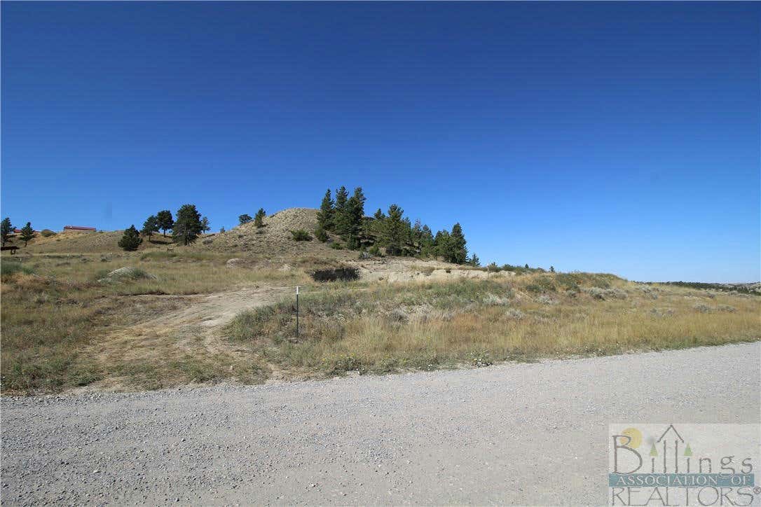 12715 MEDICINE MAN TRL, MOLT/RAPELJE, MT 59057, photo 1 of 35