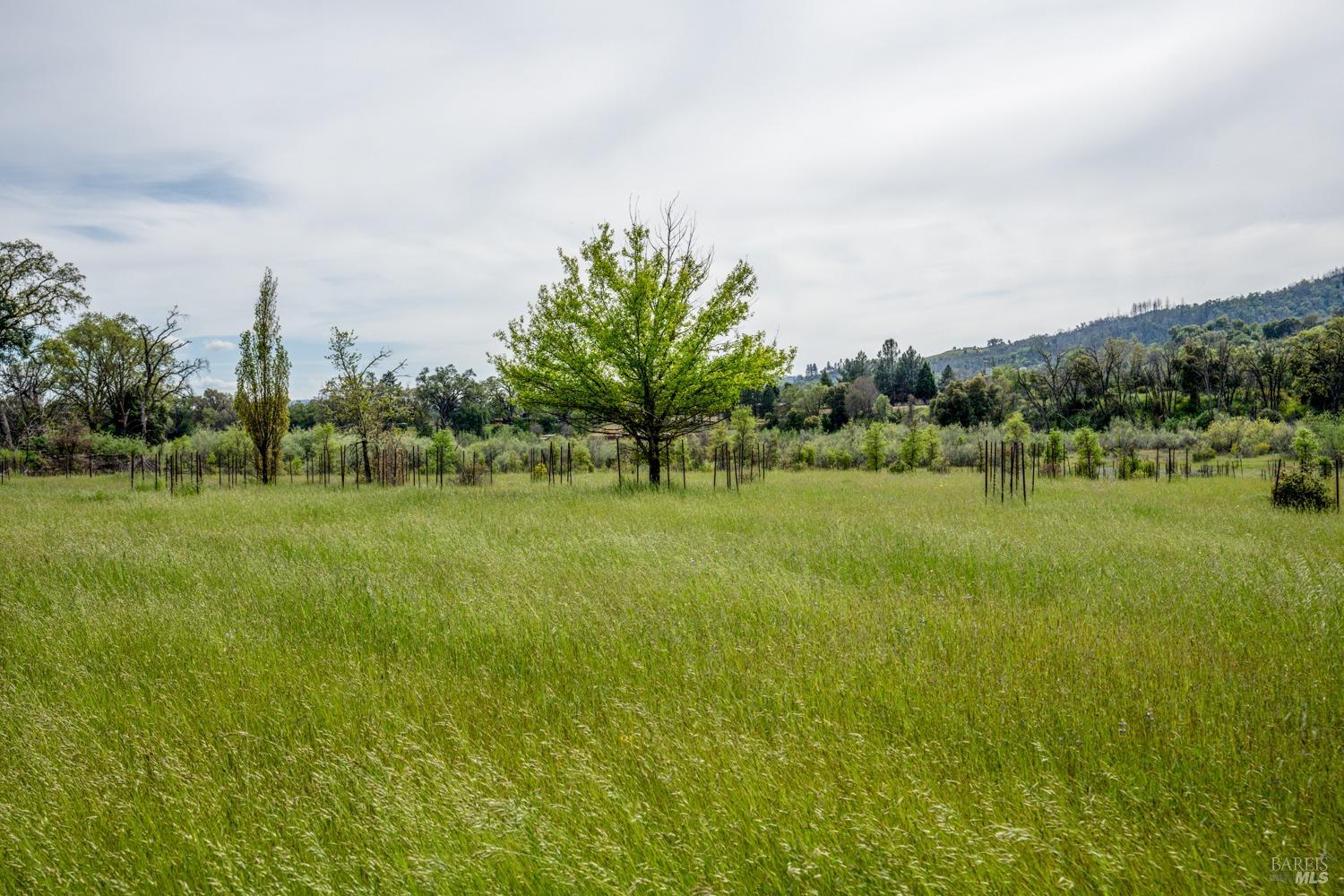 Redwood Valley, California, 95470, United States, ,5 BathroomsBathrooms,Residential,Active,1778701