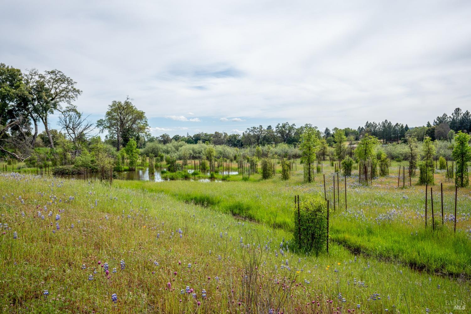 Redwood Valley, California, 95470, United States, ,5 BathroomsBathrooms,Residential,Active,1778701