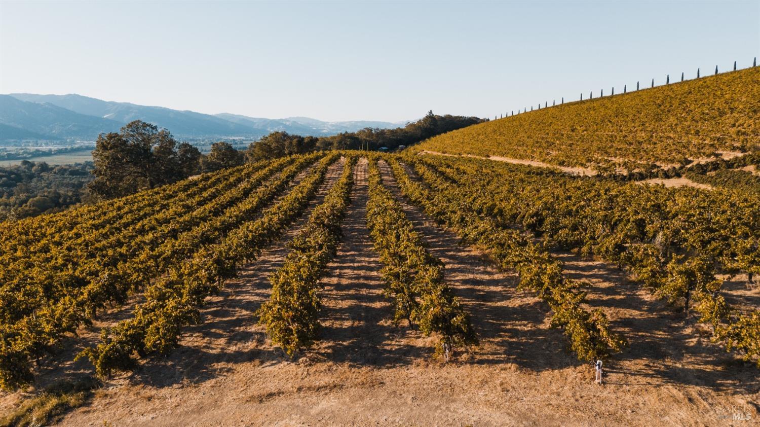 Ukiah, California, 95482, United States, 4 Bedrooms Bedrooms, ,3 BathroomsBathrooms,Residential,Active,1963393