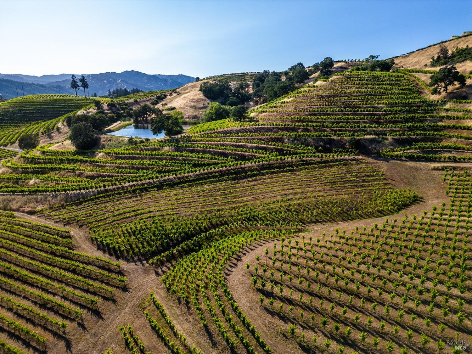 Ukiah, California, 95482, United States, 4 Bedrooms Bedrooms, ,3 BathroomsBathrooms,Residential,Active,1963393