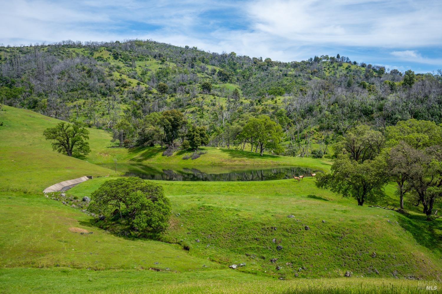 Redwood Valley, California, 95470, United States, ,5 BathroomsBathrooms,Residential,Active,1778701