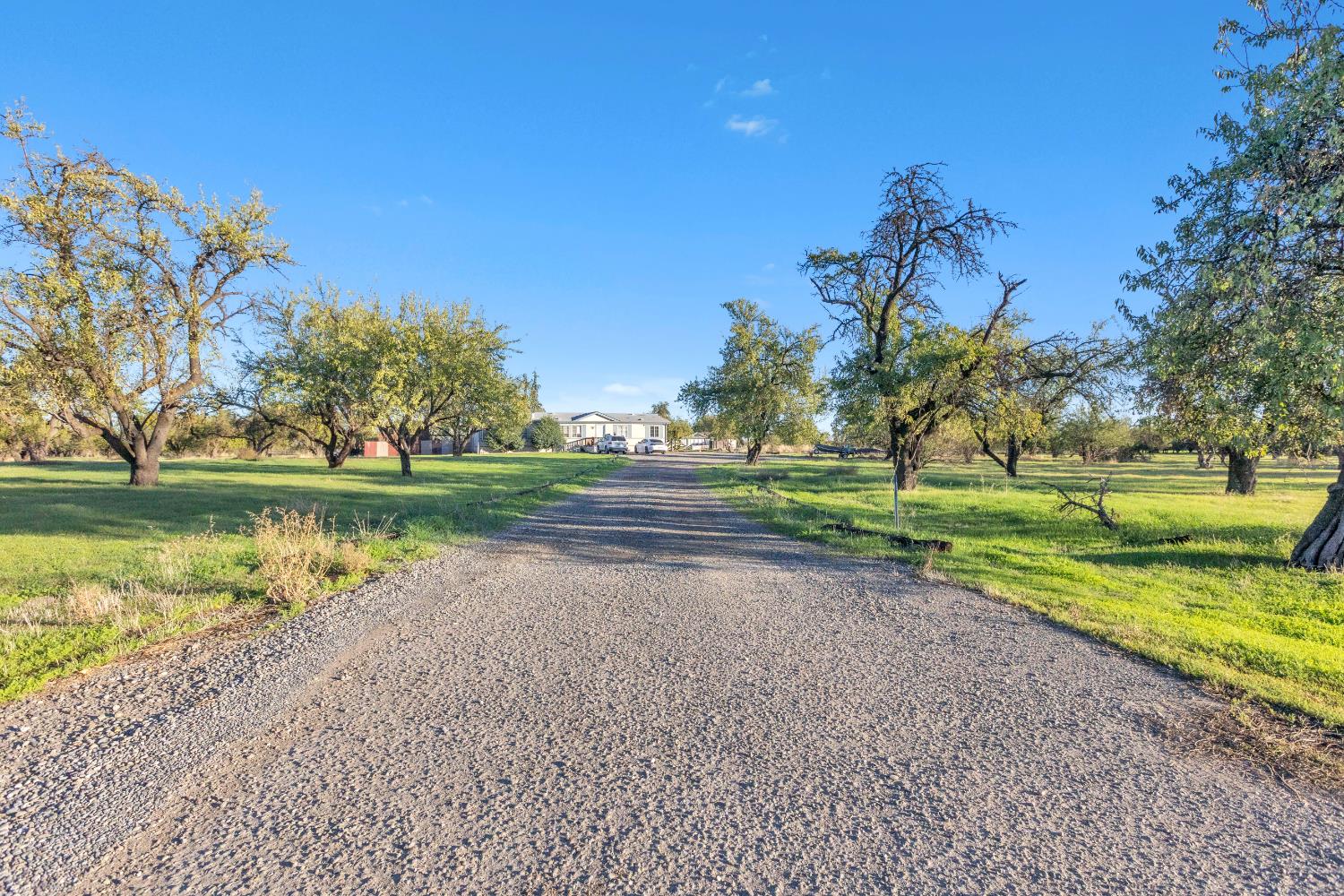 Esparto, California, 95627, United States, 3 Bedrooms Bedrooms, ,2 BathroomsBathrooms,Residential,Active,1985852