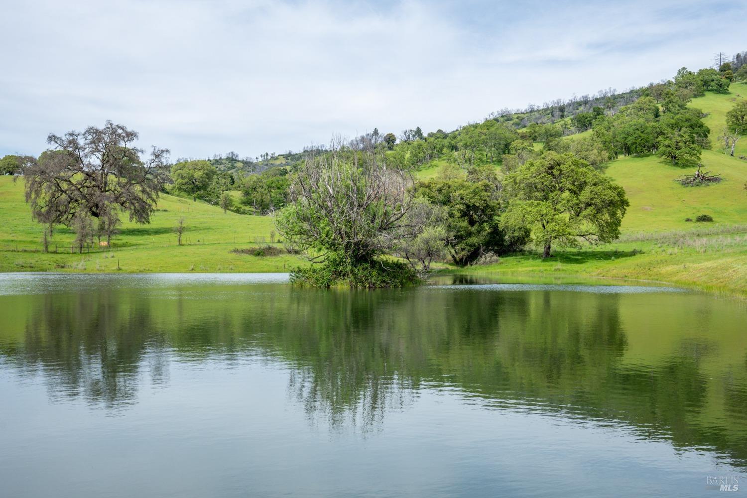 Redwood Valley, California, 95470, United States, ,5 BathroomsBathrooms,Residential,Active,1778701