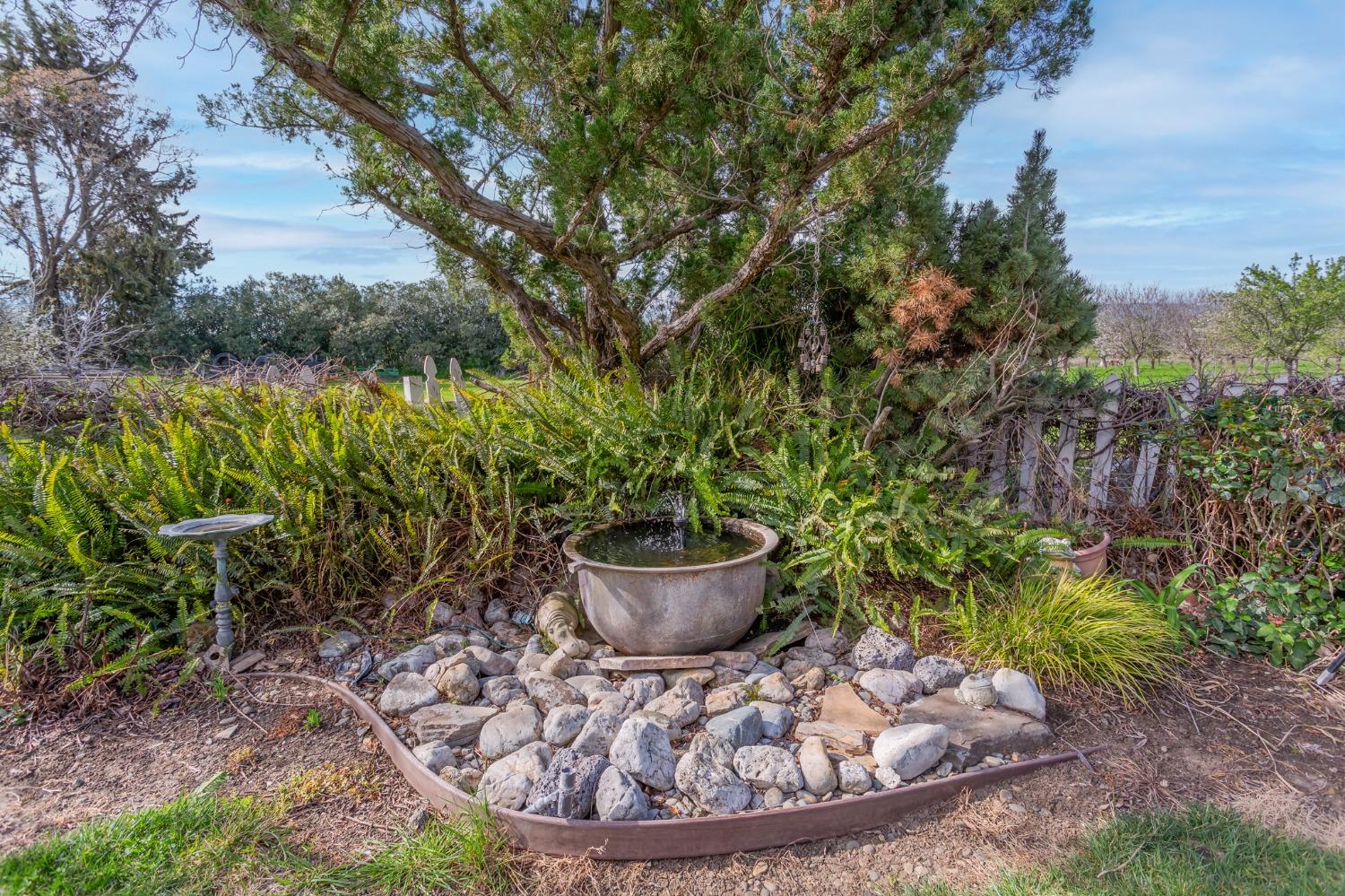 Esparto, California, 95627, United States, 3 Bedrooms Bedrooms, ,3 BathroomsBathrooms,Residential,Active,1723088