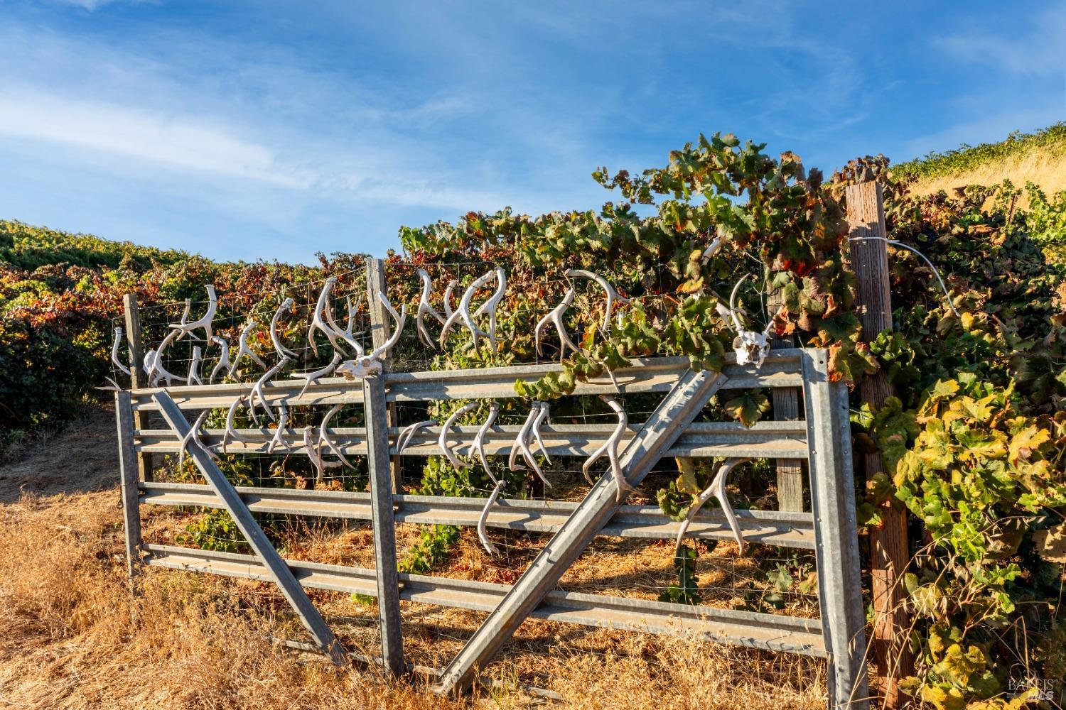 Ukiah, California, 95482, United States, 4 Bedrooms Bedrooms, ,3 BathroomsBathrooms,Residential,Active,1963393