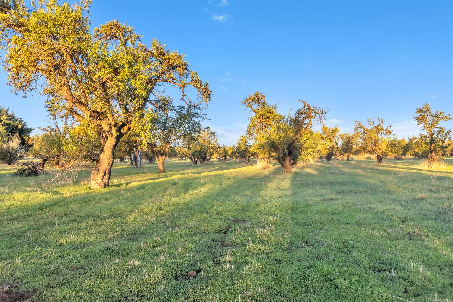Esparto, California, 95627, United States, 3 Bedrooms Bedrooms, ,2 BathroomsBathrooms,Residential,Active,1985852