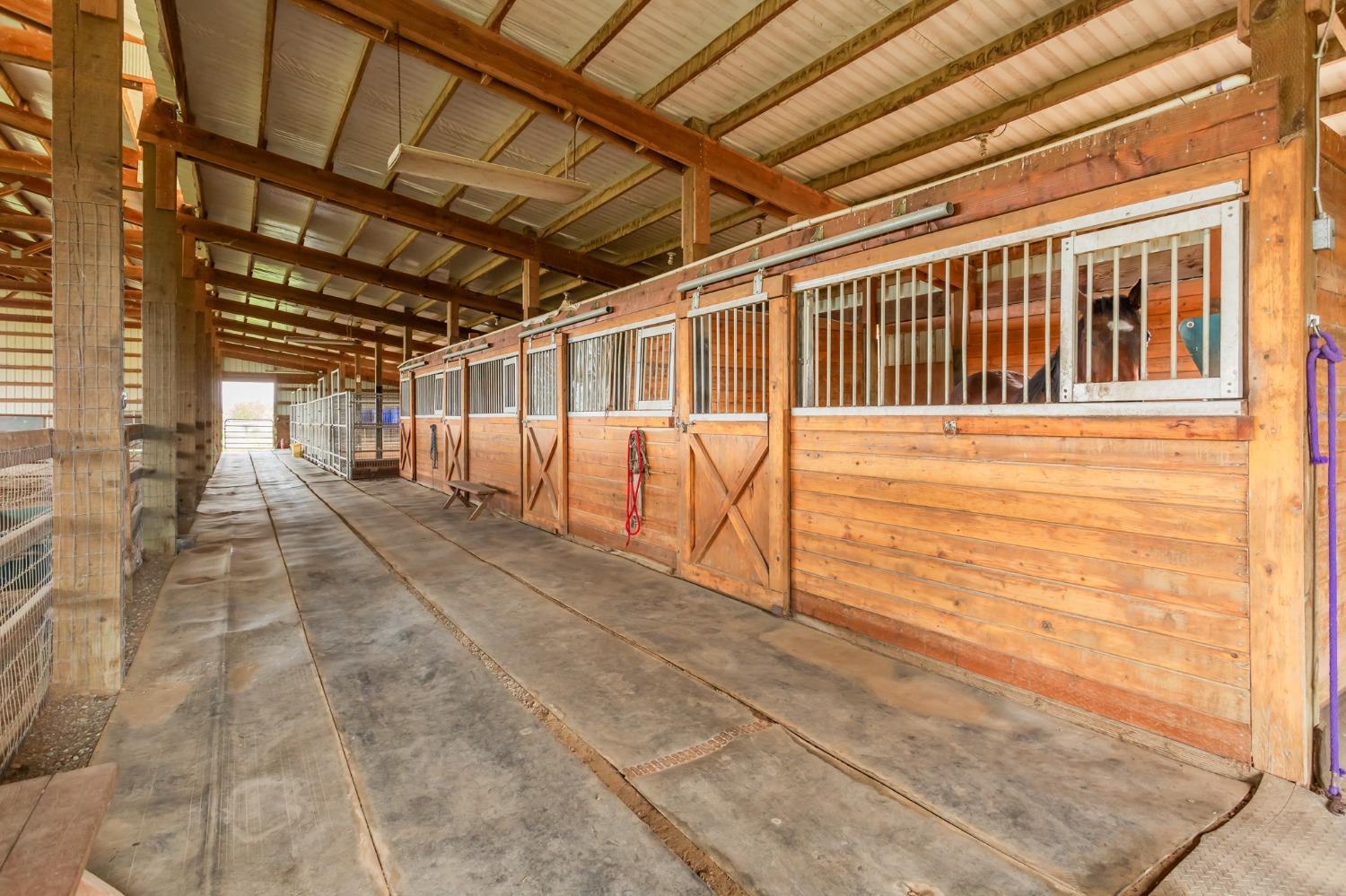 Esparto, California, 95627, United States, 3 Bedrooms Bedrooms, ,3 BathroomsBathrooms,Residential,Active,1723088