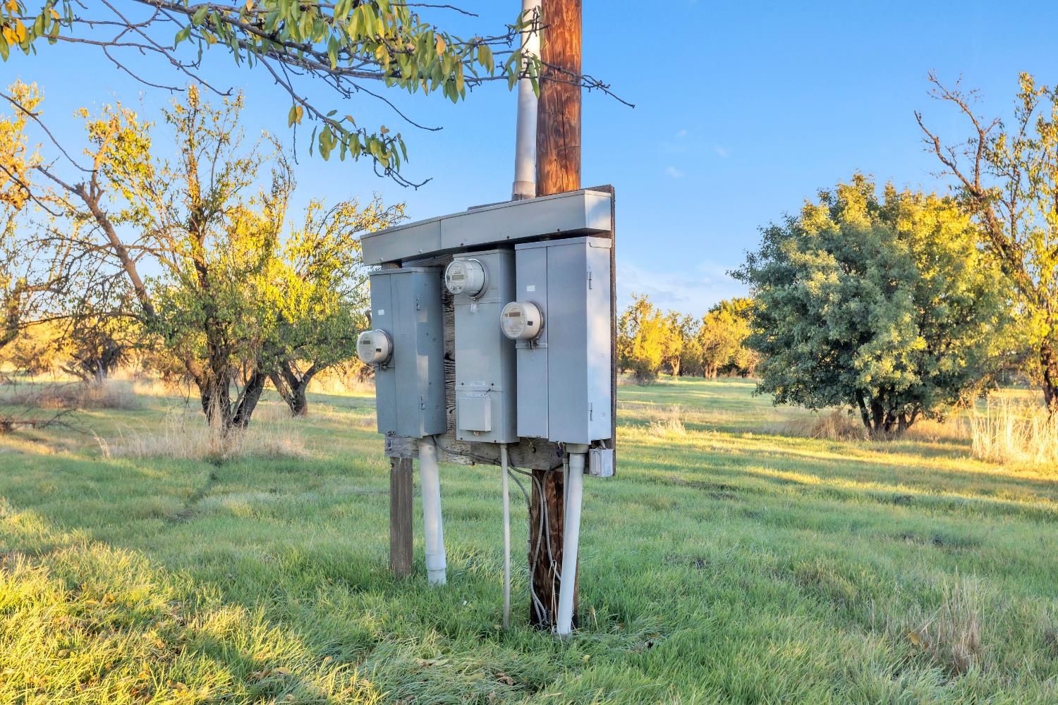 Esparto, California, 95627, United States, 3 Bedrooms Bedrooms, ,2 BathroomsBathrooms,Residential,Active,1985852