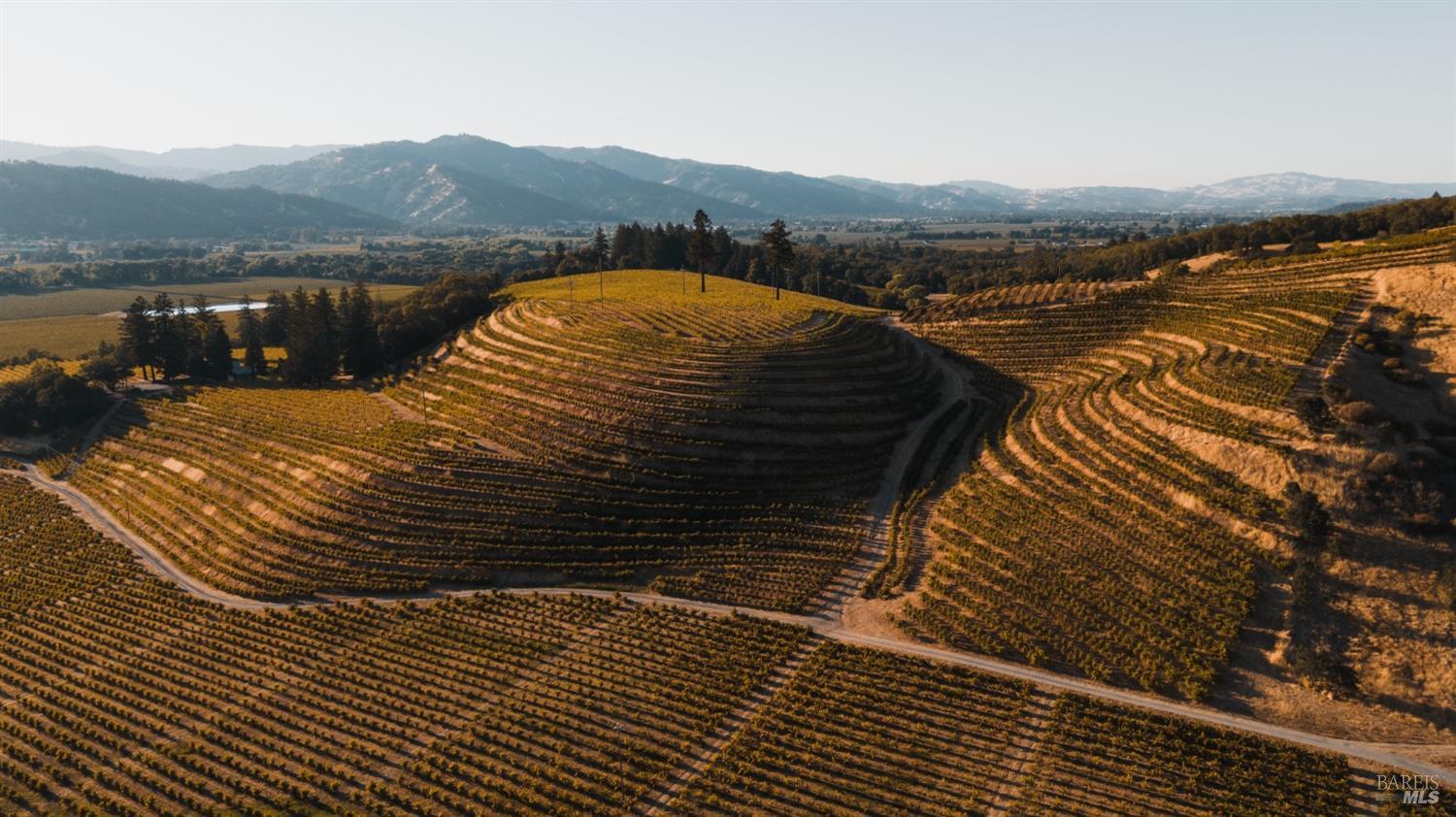 Ukiah, California, 95482, United States, 4 Bedrooms Bedrooms, ,3 BathroomsBathrooms,Residential,Active,1963393