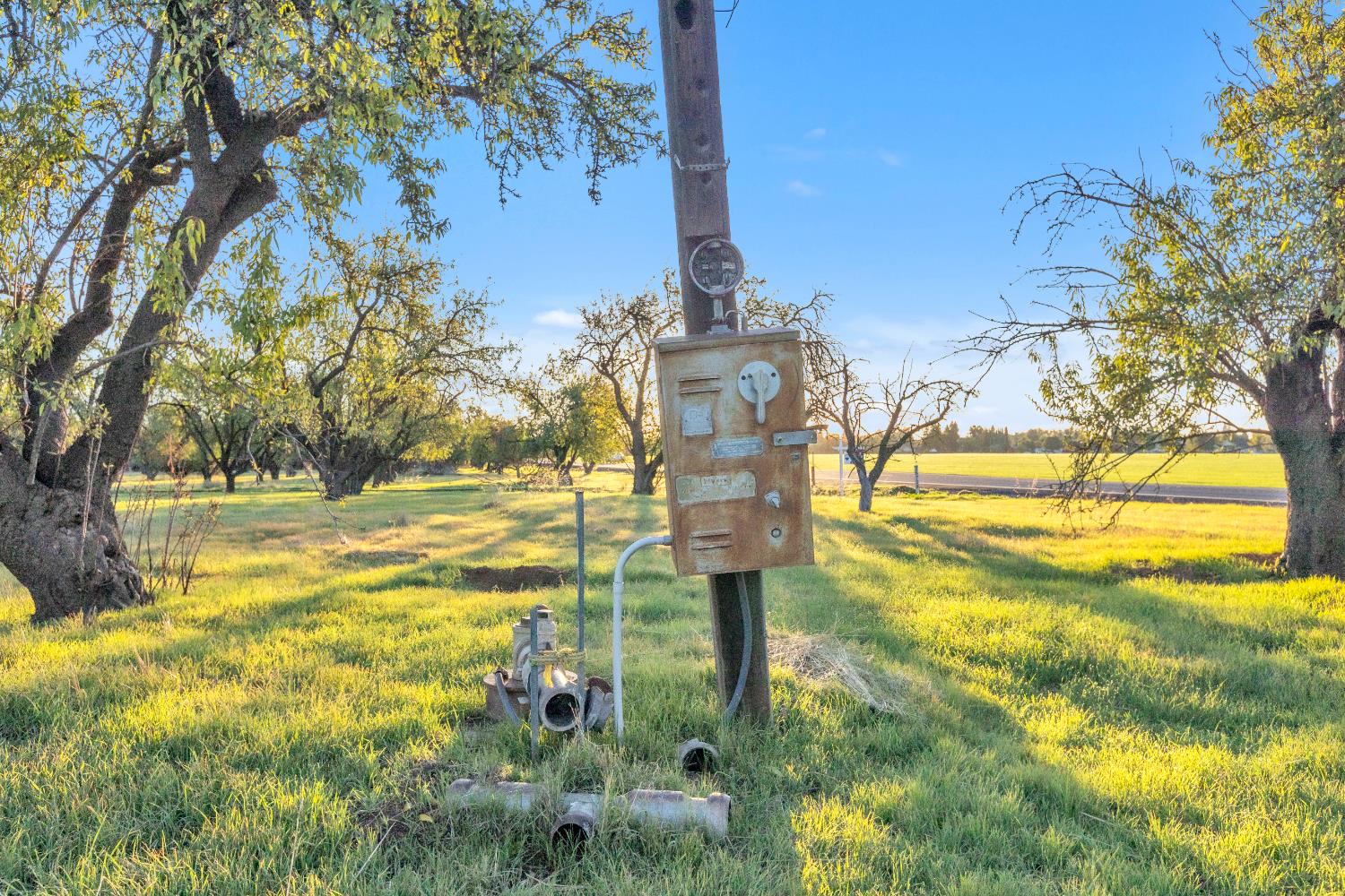 Esparto, California, 95627, United States, 3 Bedrooms Bedrooms, ,2 BathroomsBathrooms,Residential,Active,1985852